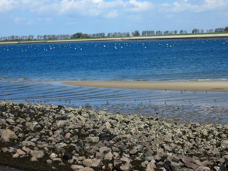 2013-05-09 12-08-15 Mary.JPG